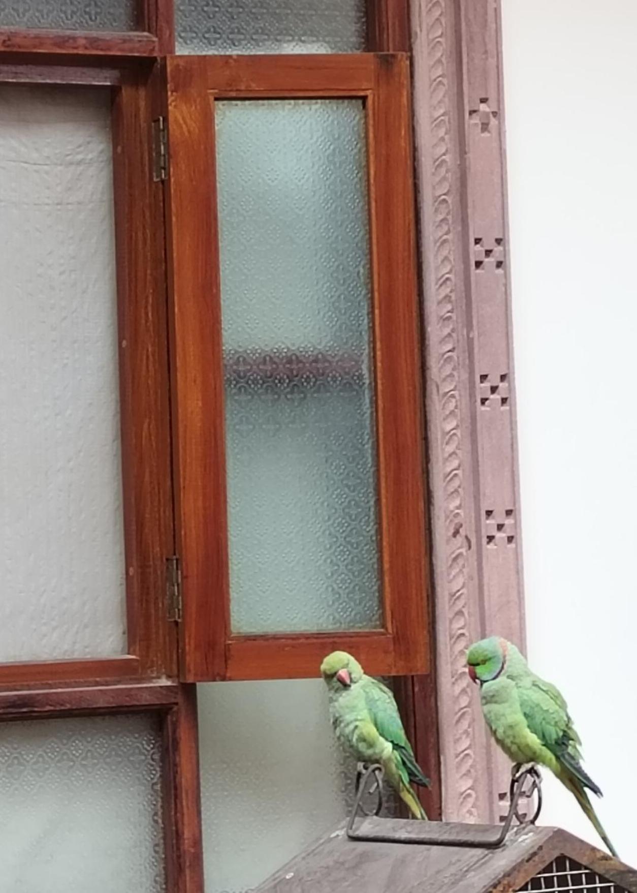 Hotel Rigmor Haveli Jodhpur  Exterior foto
